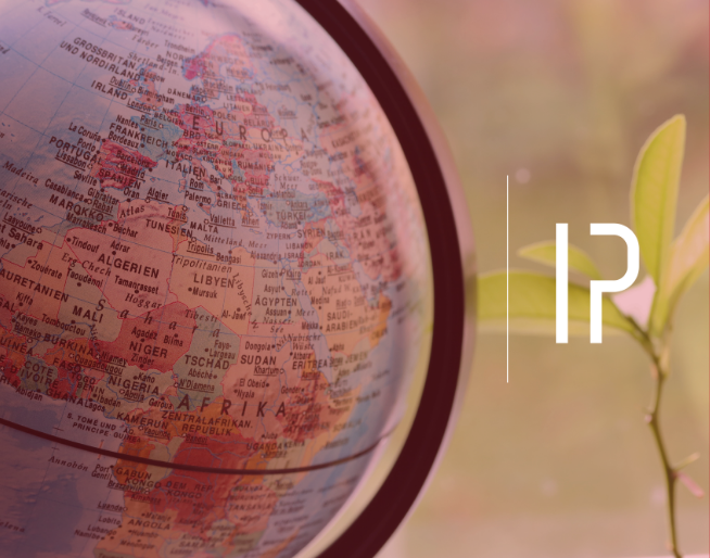 The Battery Belt: How Chinese investment could supercharge SA’s green industrialisation