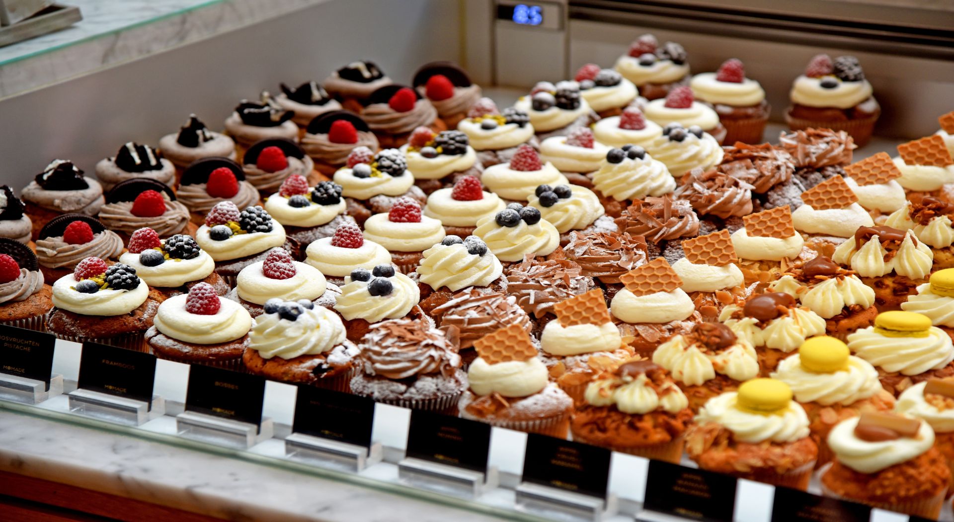 אגדת הריין – בין פסגות היופי לעמקי התרבות