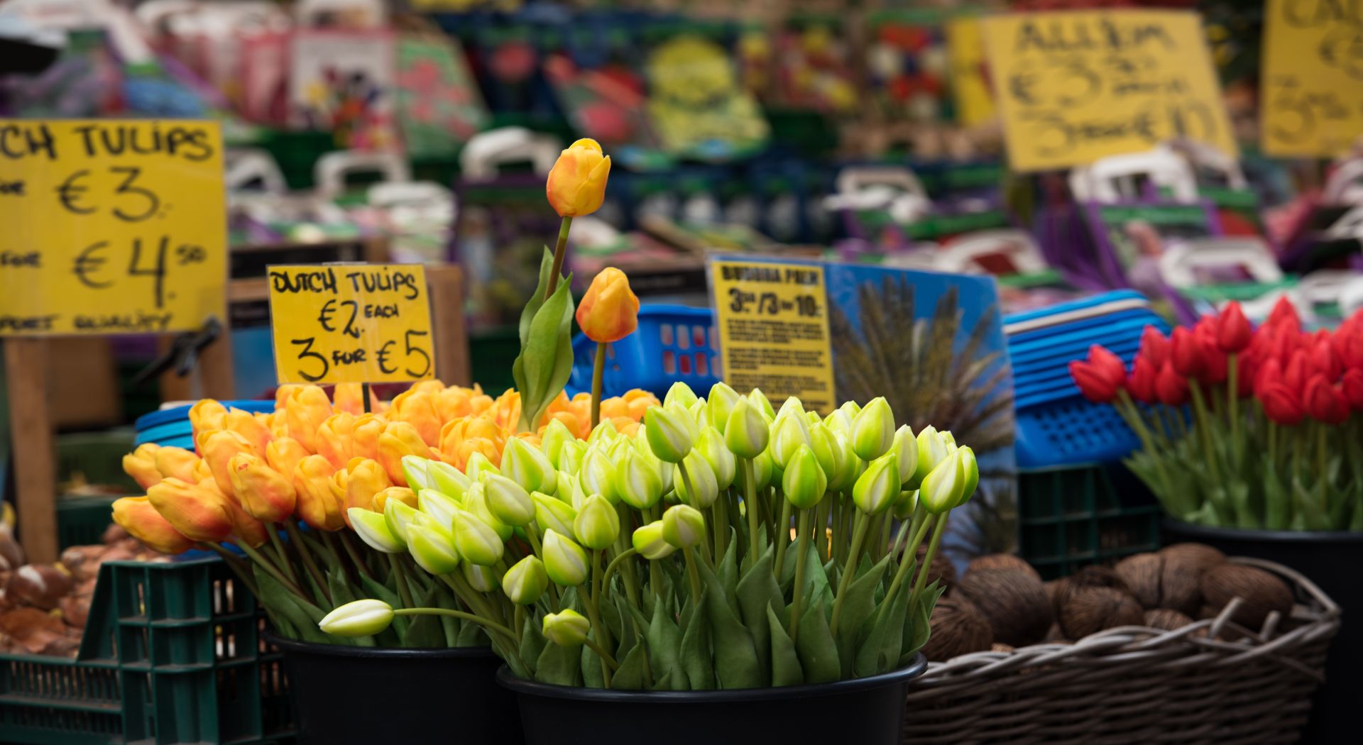 אגדת הריין – בין פסגות היופי לעמקי התרבות