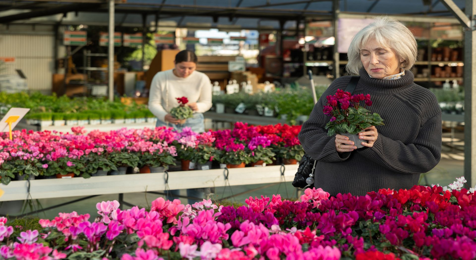 אגדת הריין – בין פסגות היופי לעמקי התרבות