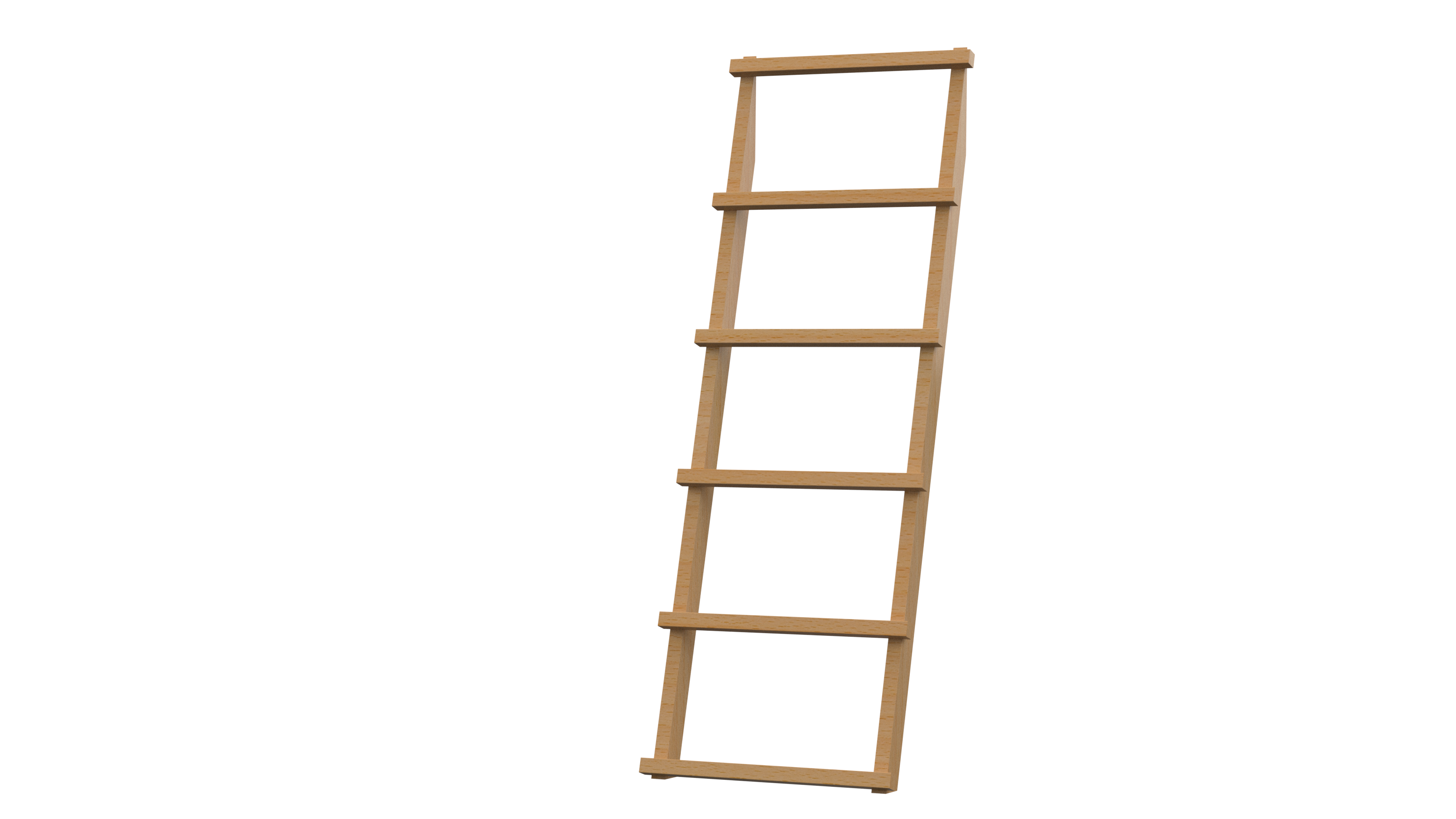 Ladder