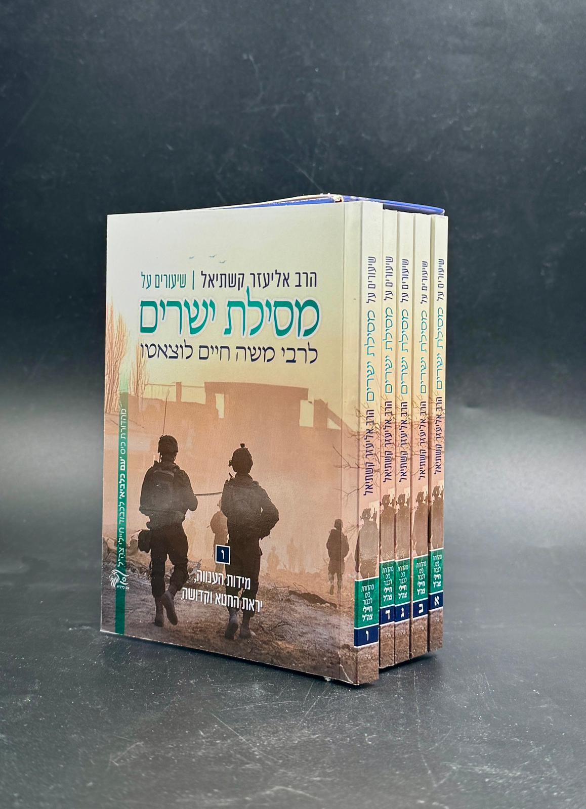 שיעורים על מסילת ישרים