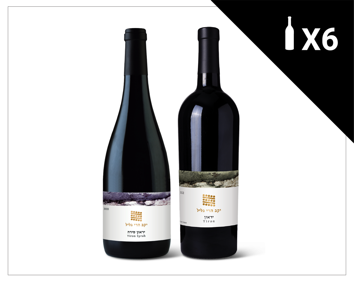 מארז למבינים - 6