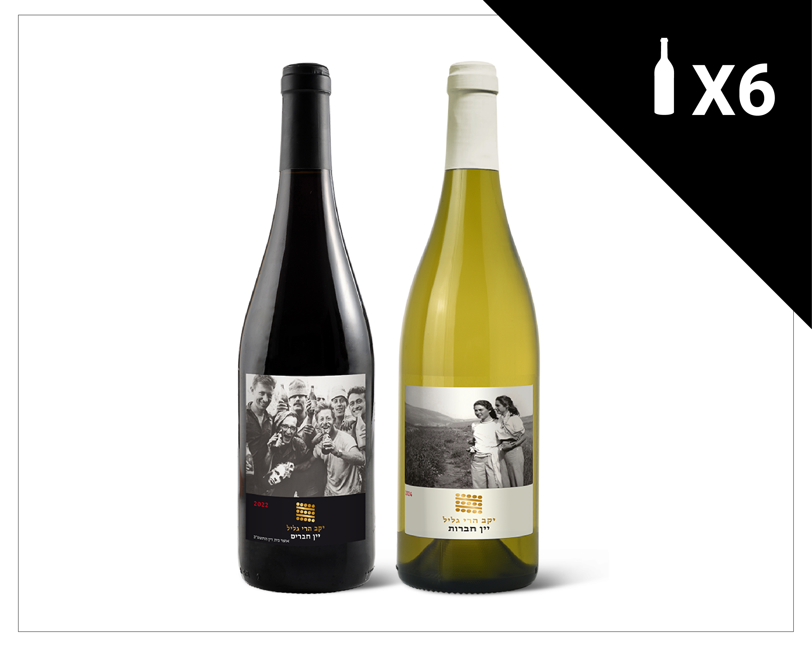 מארז חברים וחברות