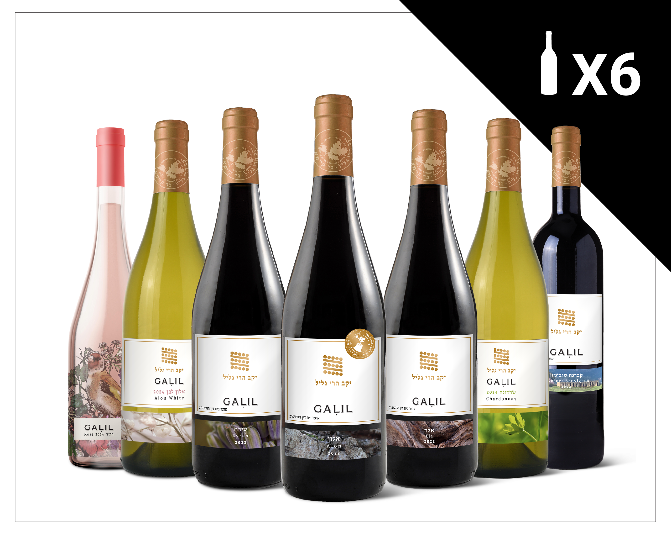 ארגז סדרת GALIL - 6 בקבוקים