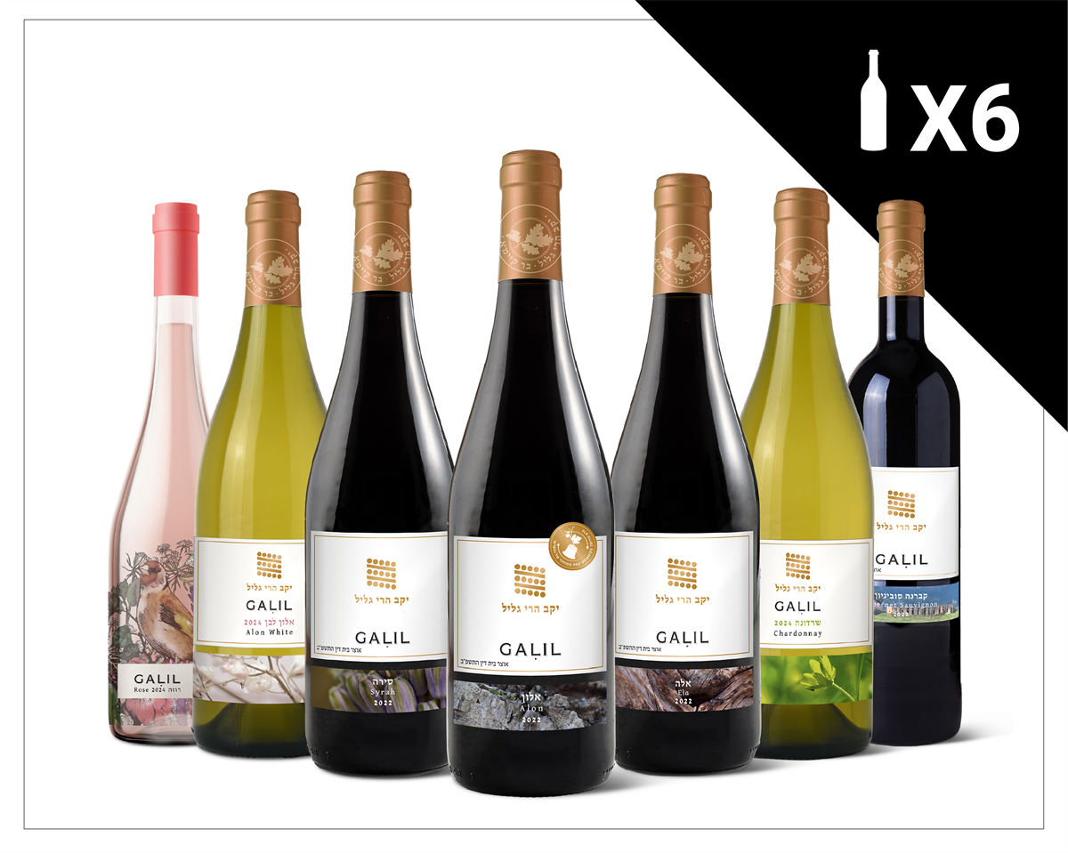 מארז למגוונים - 6