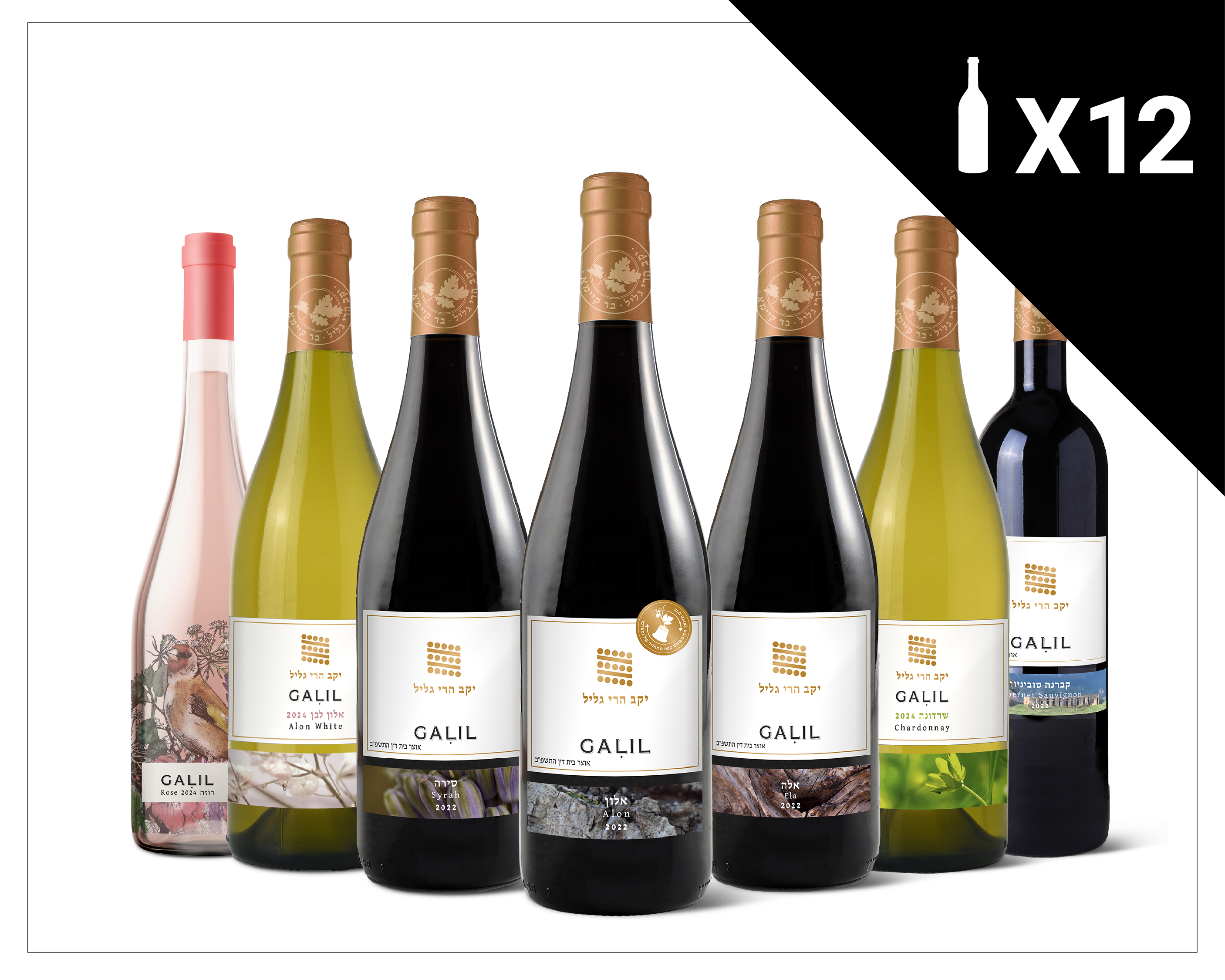 ארגז סדרת GALIL - 12 בקבוקים