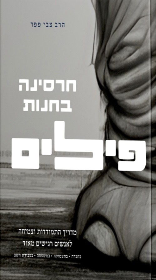 חרסינה בחנות פילים