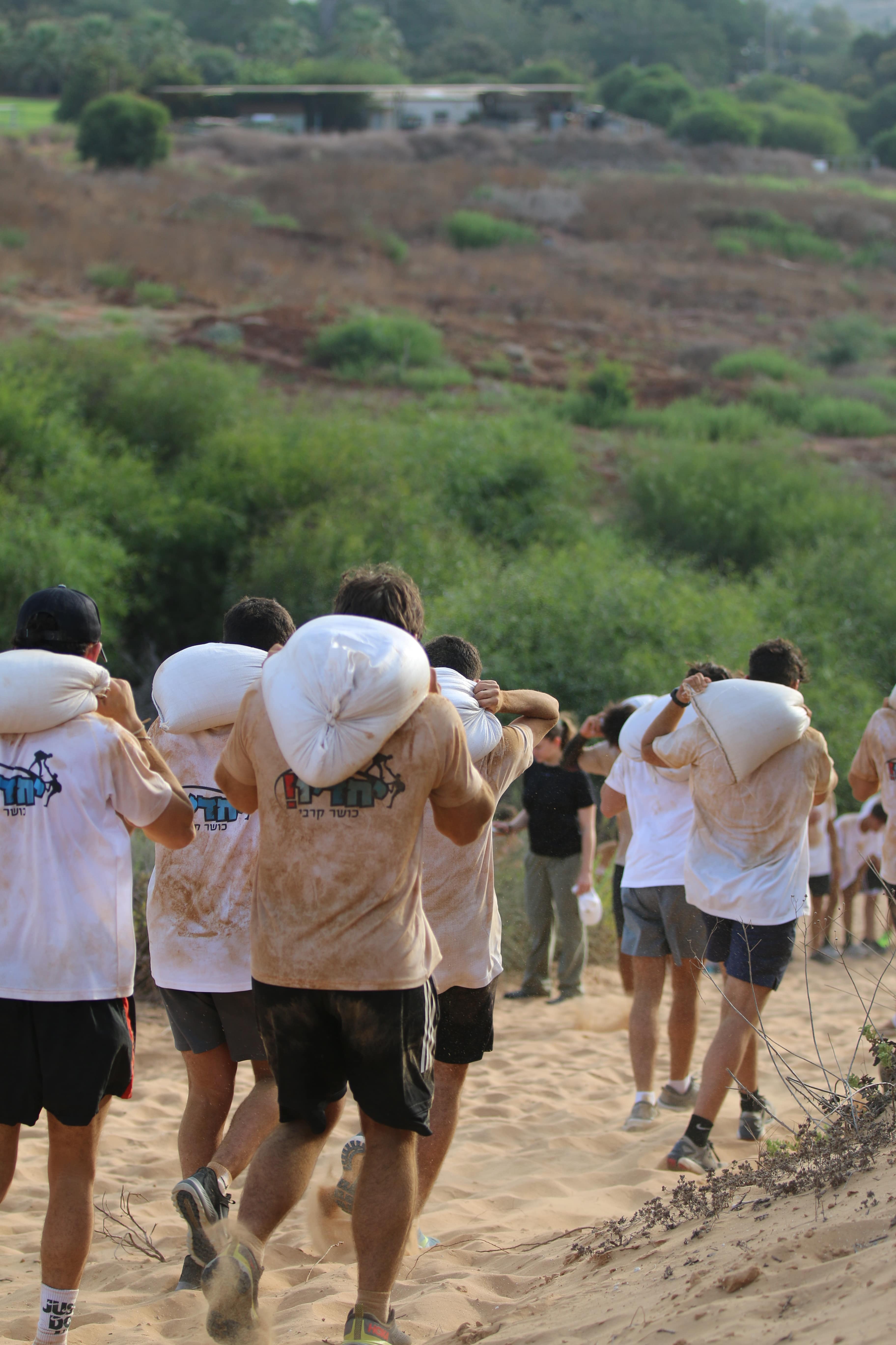 גלריית יחדיו-291