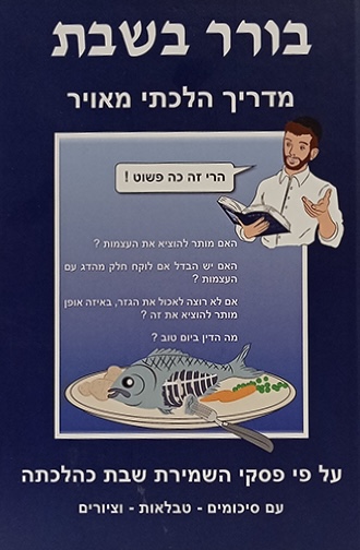 בורר בשבת - מדריך הלכתי מאויר