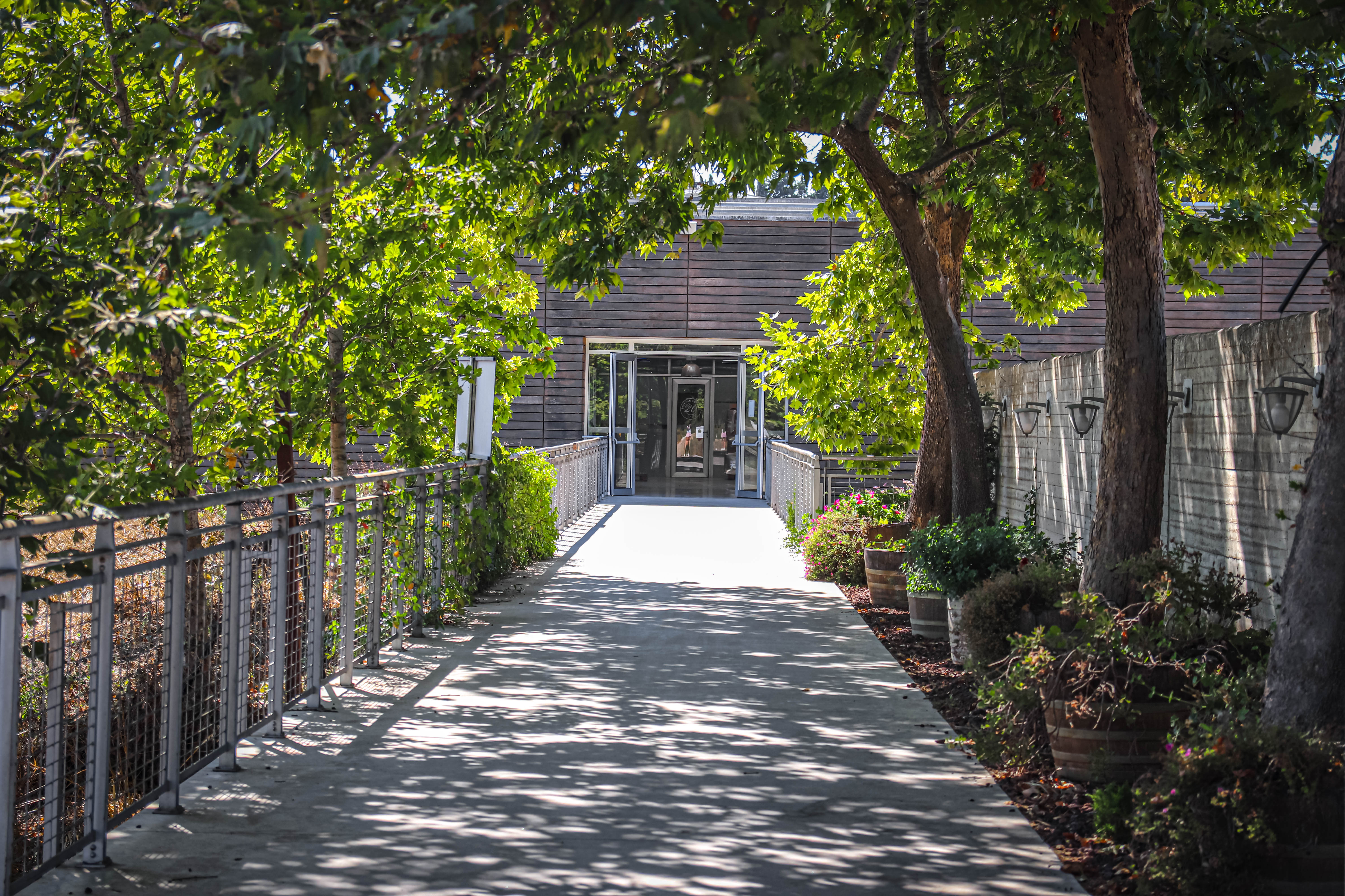 מרכז המבקרים-41