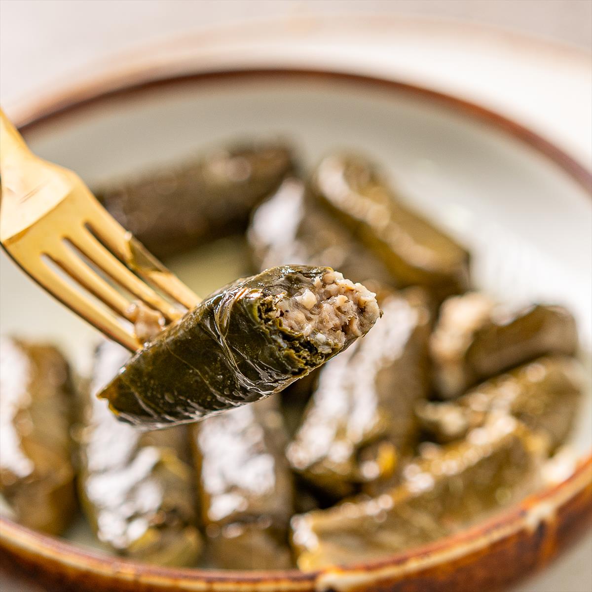 עלי גפן צעירים 