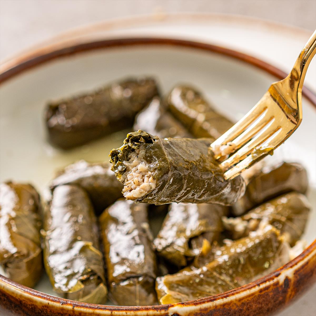 עלי גפן צעירים 