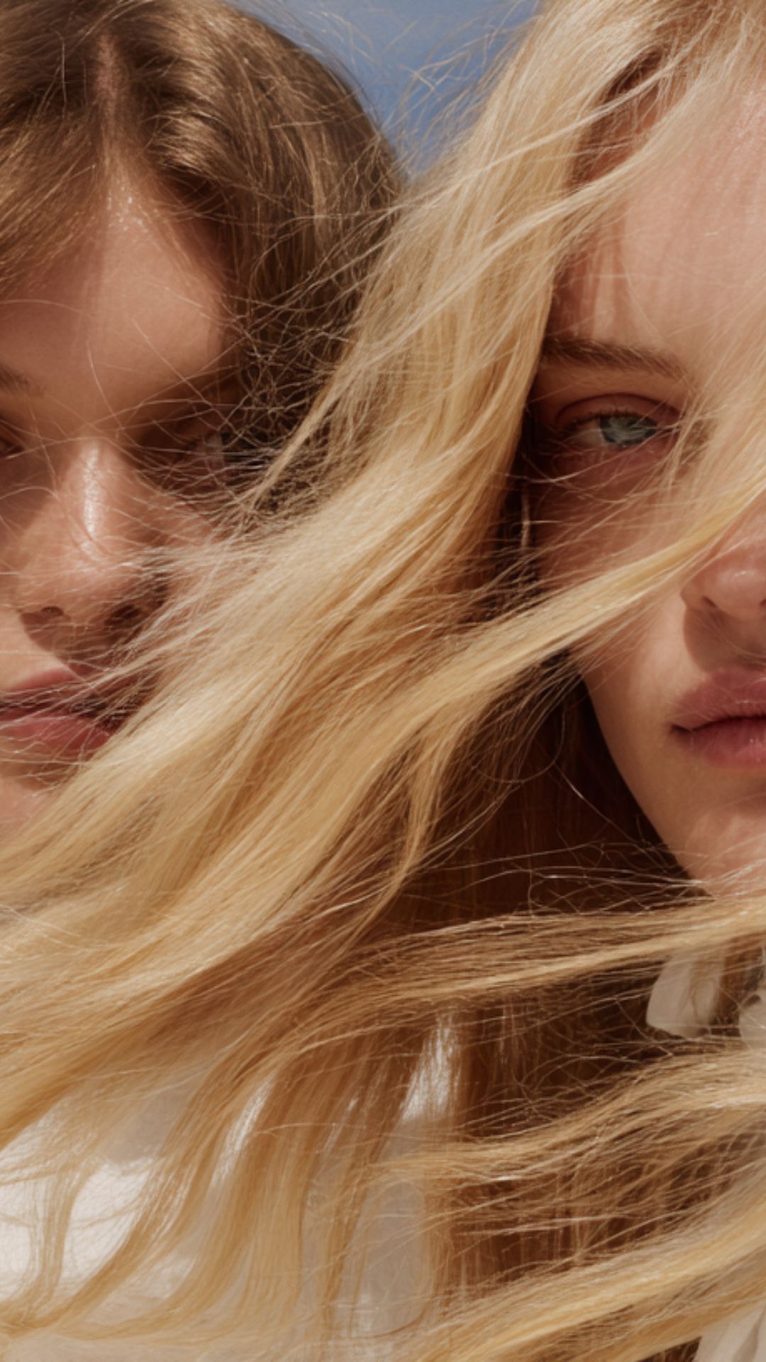 מוצרים נלווים