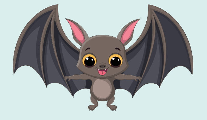 עטלף במרתף - סיור העטלפים במרתפי הסנטר gallery