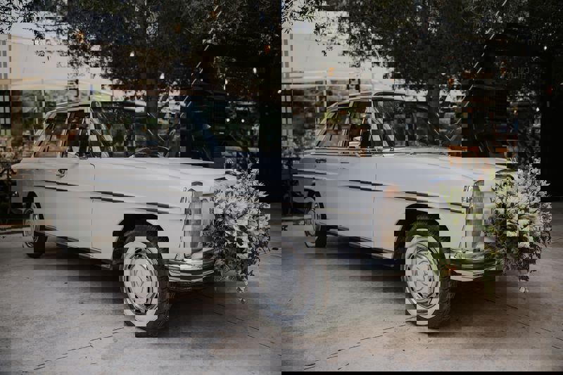 הגלריה שלנו-171