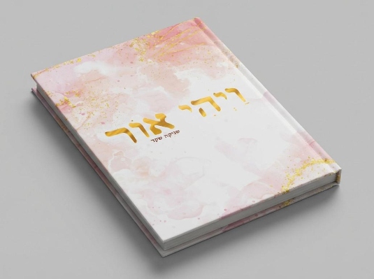 ספר "ויהי אור" - שניקה שקד