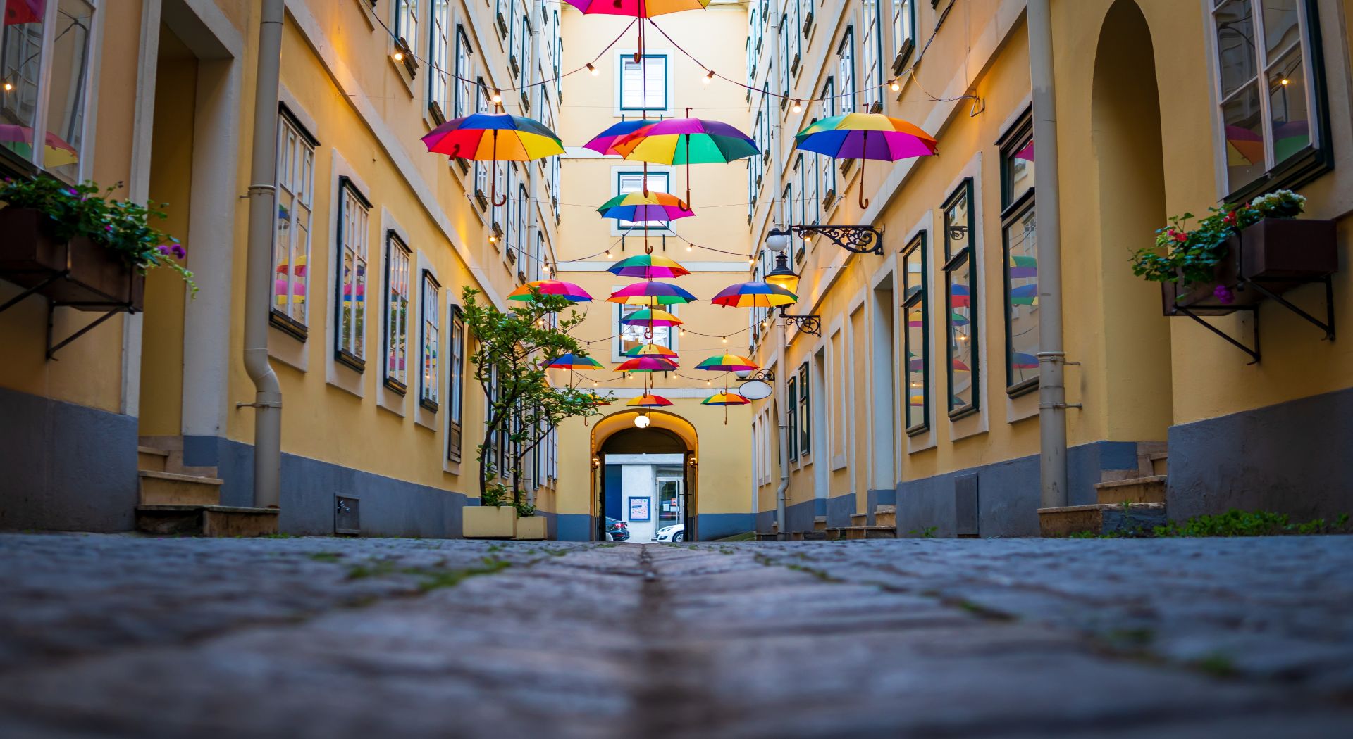 בריזה אירופאית לאורך הדנובה – תרבות, ערים ופסטיבלים