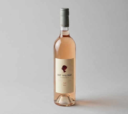 בת שלמה רוזה