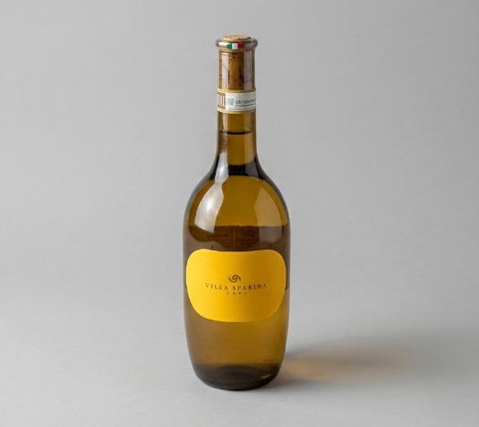 גאבי וילה ספרינה