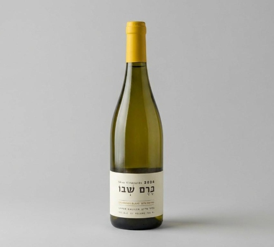 כרם שבו סובניון בלאן