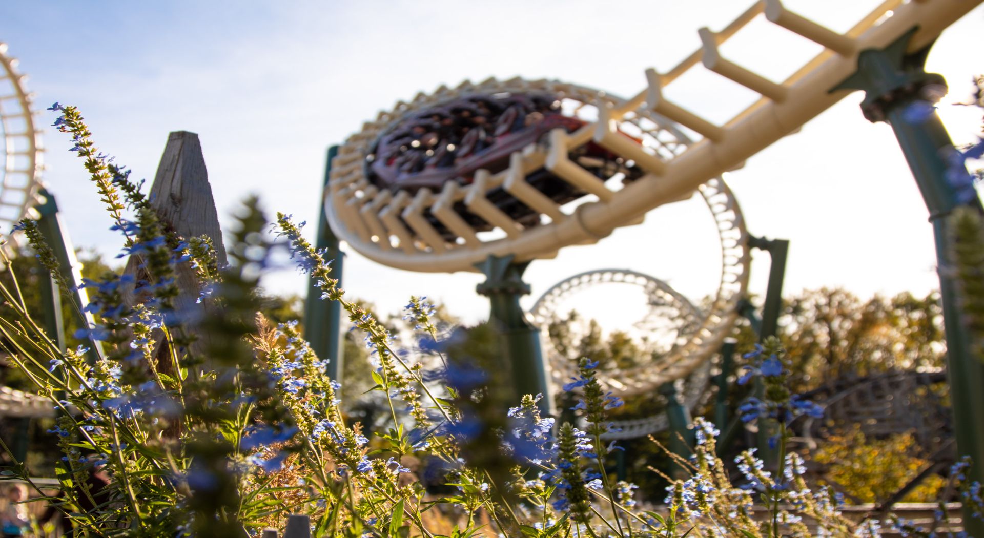 חנוכריסמס - שיט נהרות משפחתי על הריין