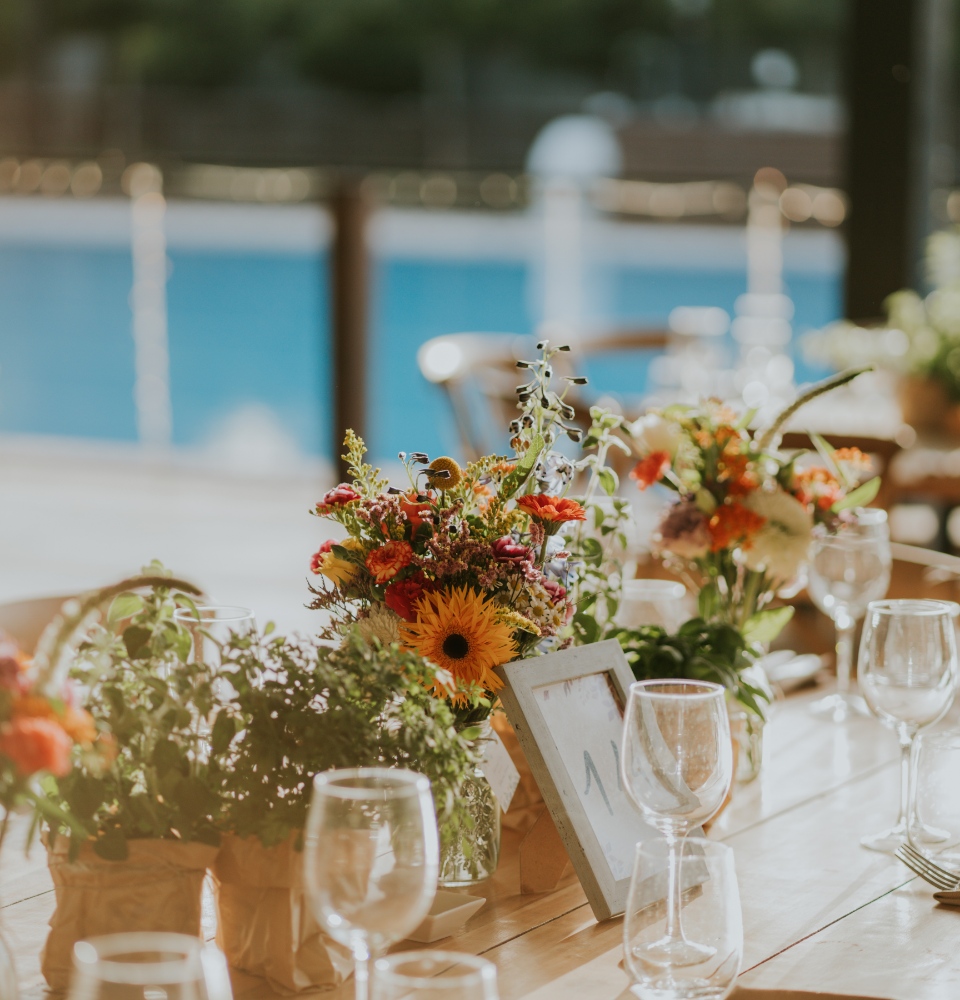 חתונת טבע בשרון: המדריך המלא למציאת המקום המושלם (2026)