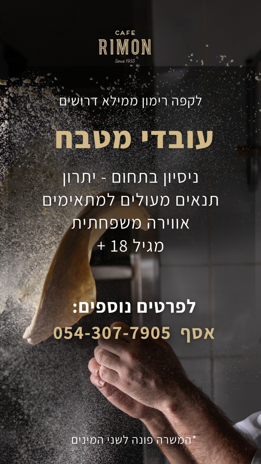 משרות בית שמש-2