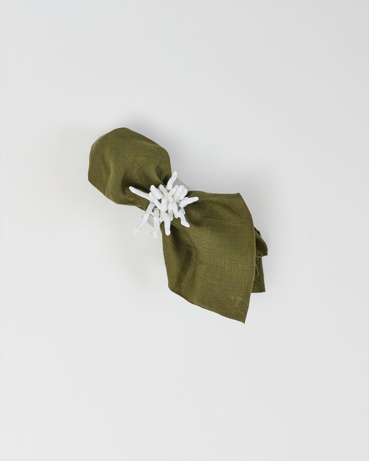 חבק אלמוגים לבן