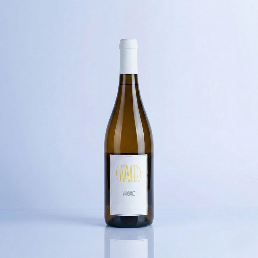 דינאבולו קאטאבלה 2023 | כתום