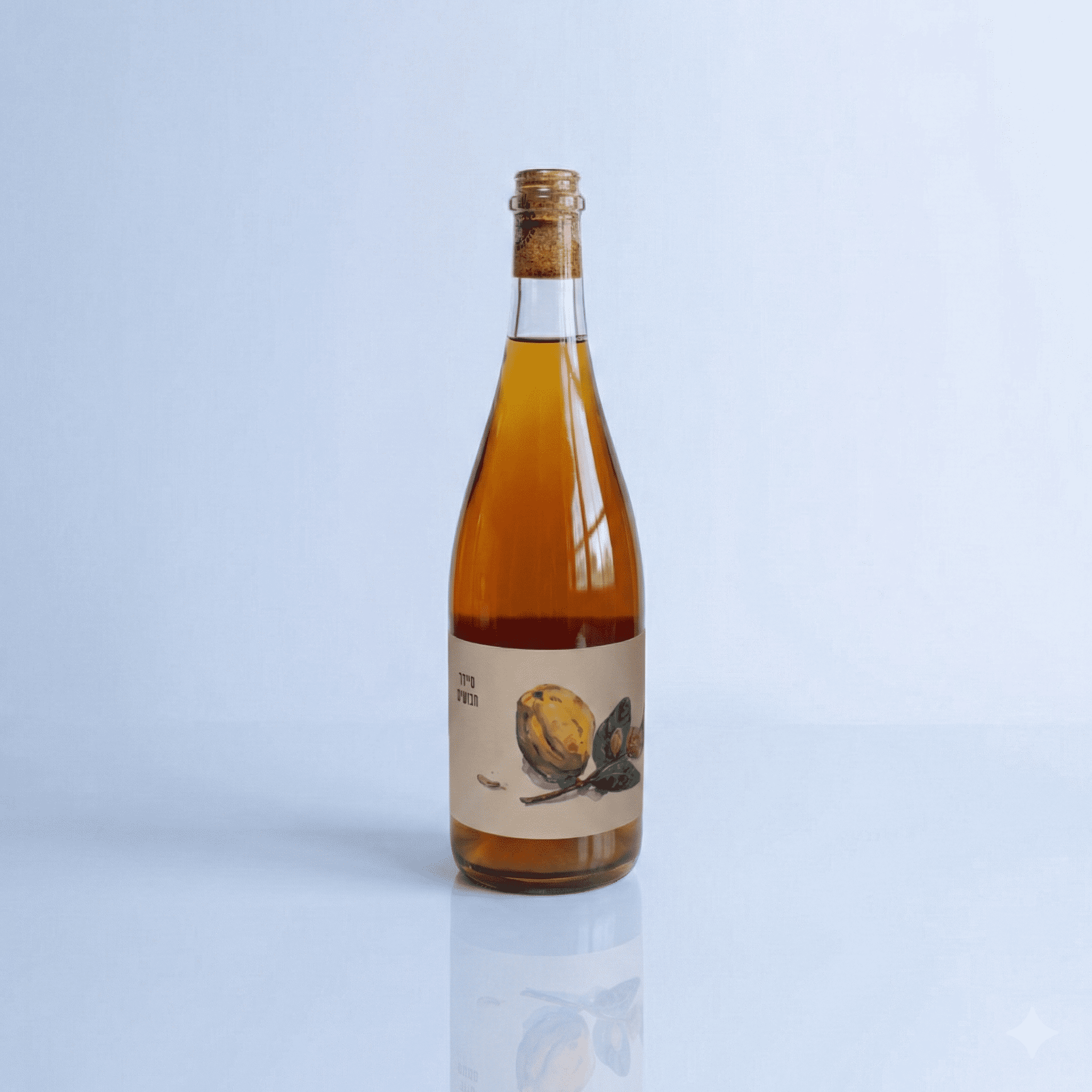 סיידר חבושים נעמה סורקין