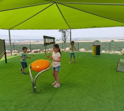 הקמת גן מוזיקלי - טובא זנגריא