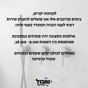 מצב ביטחוני מיוחד