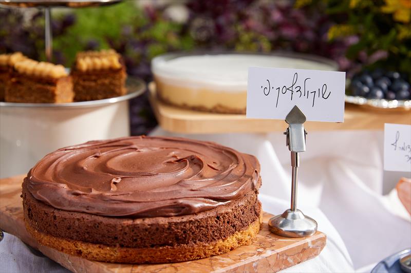 עוגת שוקולד סקיפי