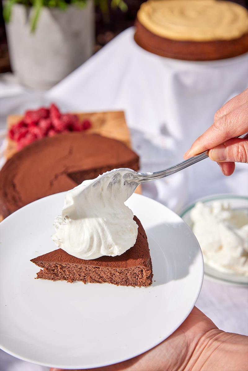 עוגת נמסיס עגולה