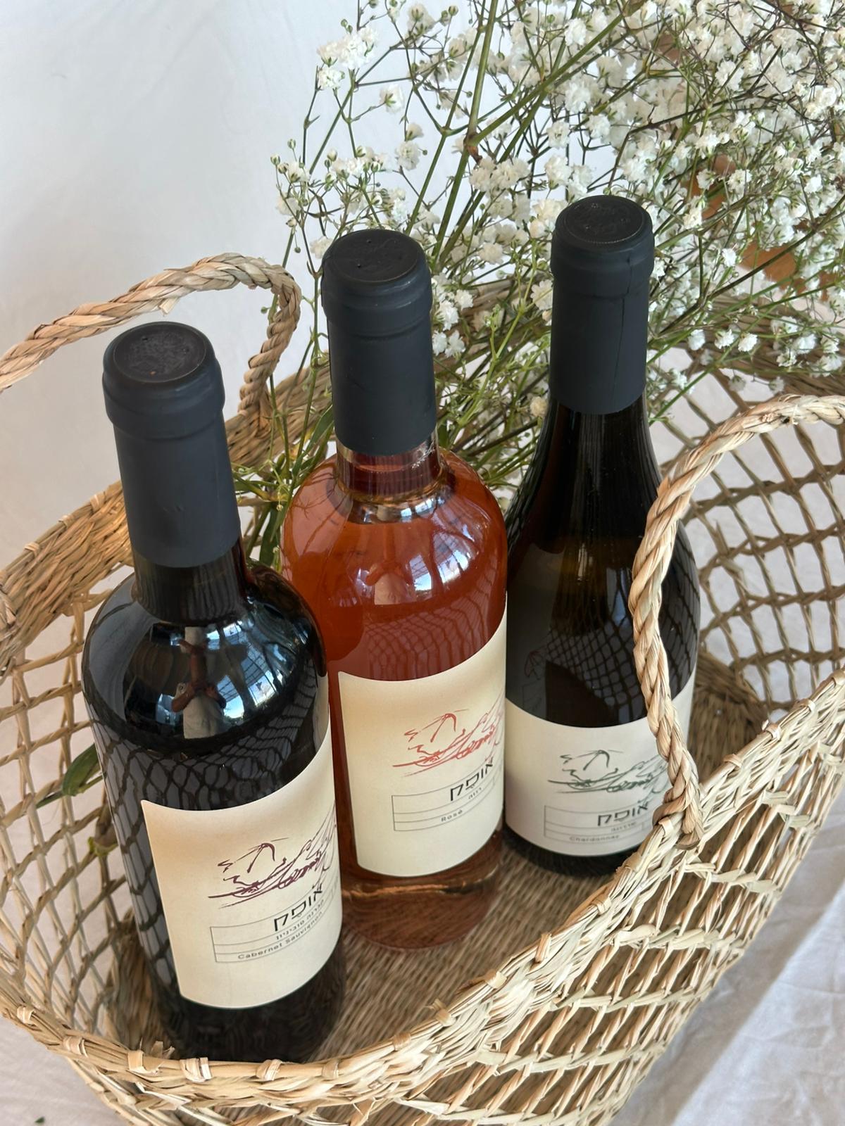 מארז מתנה - חג ישראלי