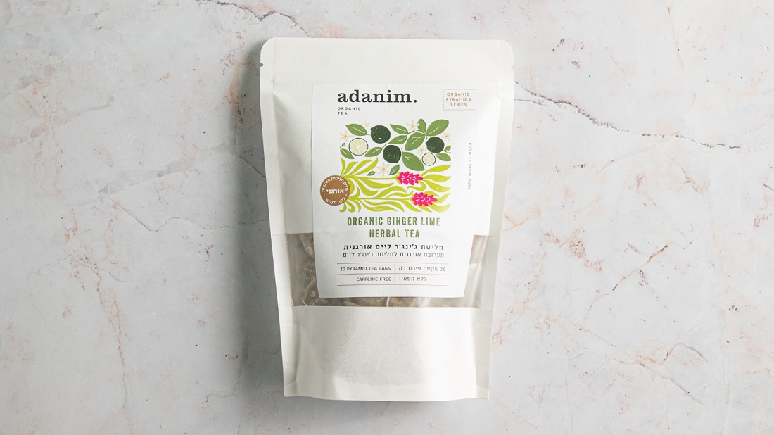 שקיקי חליטת ג'ינג'ר ליים