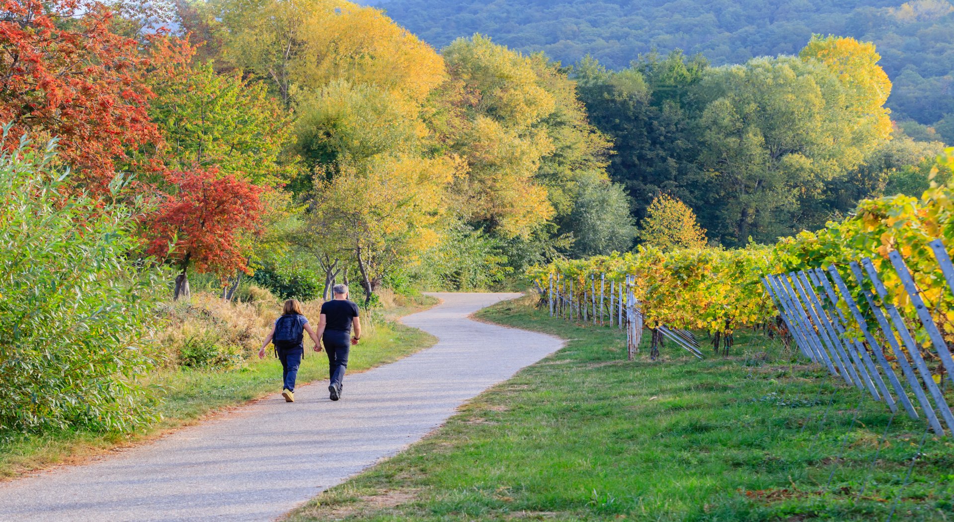 מנגינת הנהרות של מרכז אירופה + גרסת גורדון קומפורט