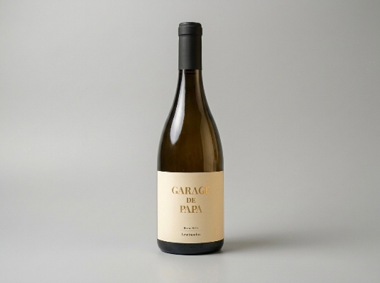 גאראג׳ דה פאפא לבן