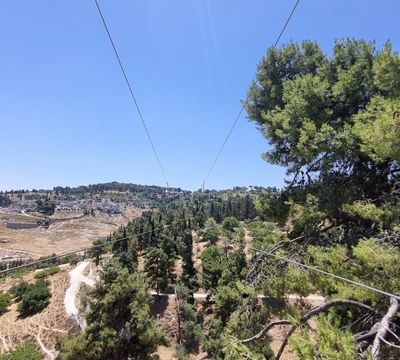 האומגה הארוכה בישראל