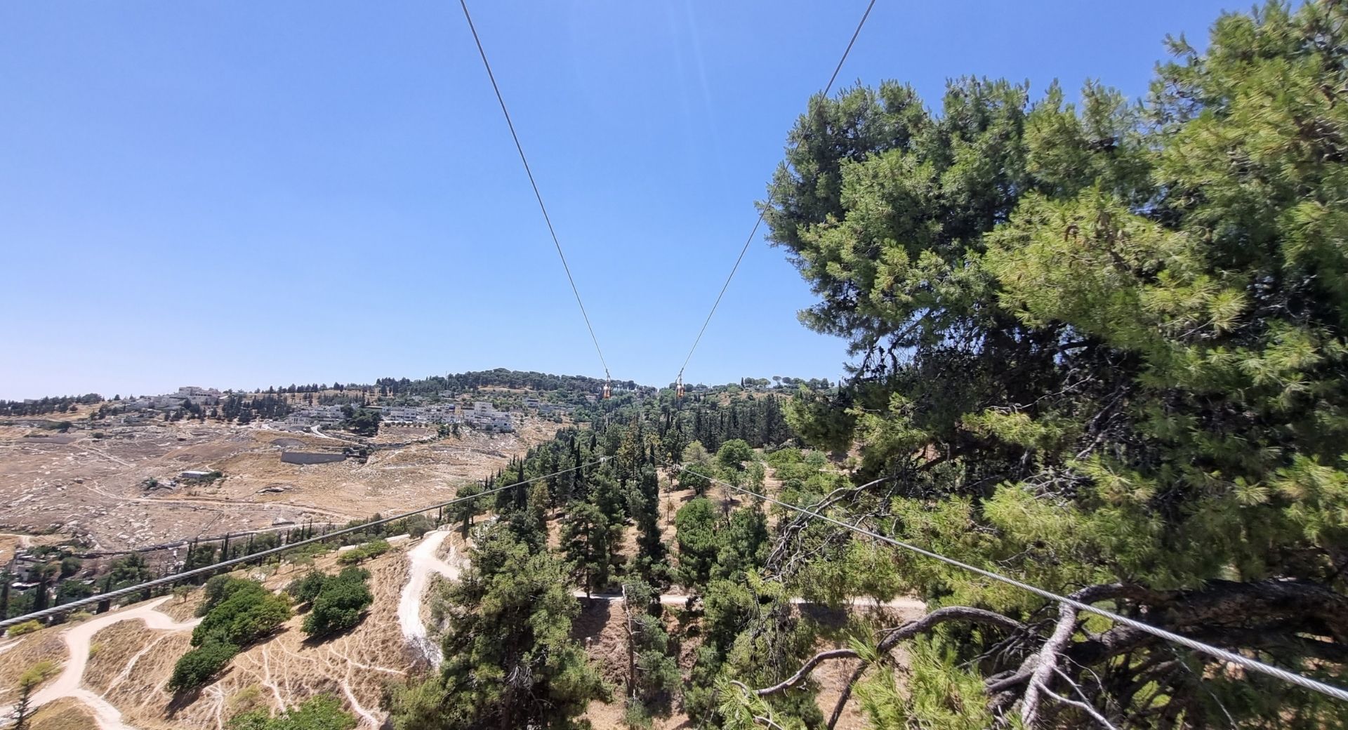 האומגה הארוכה בישראל