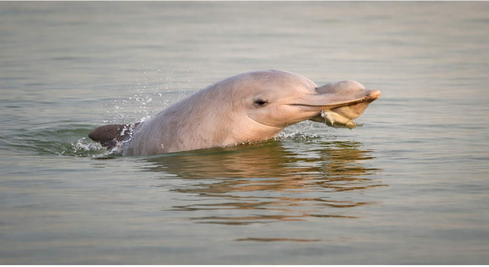 שייט לאורך המקונג – וייטנאם וקמבודיה