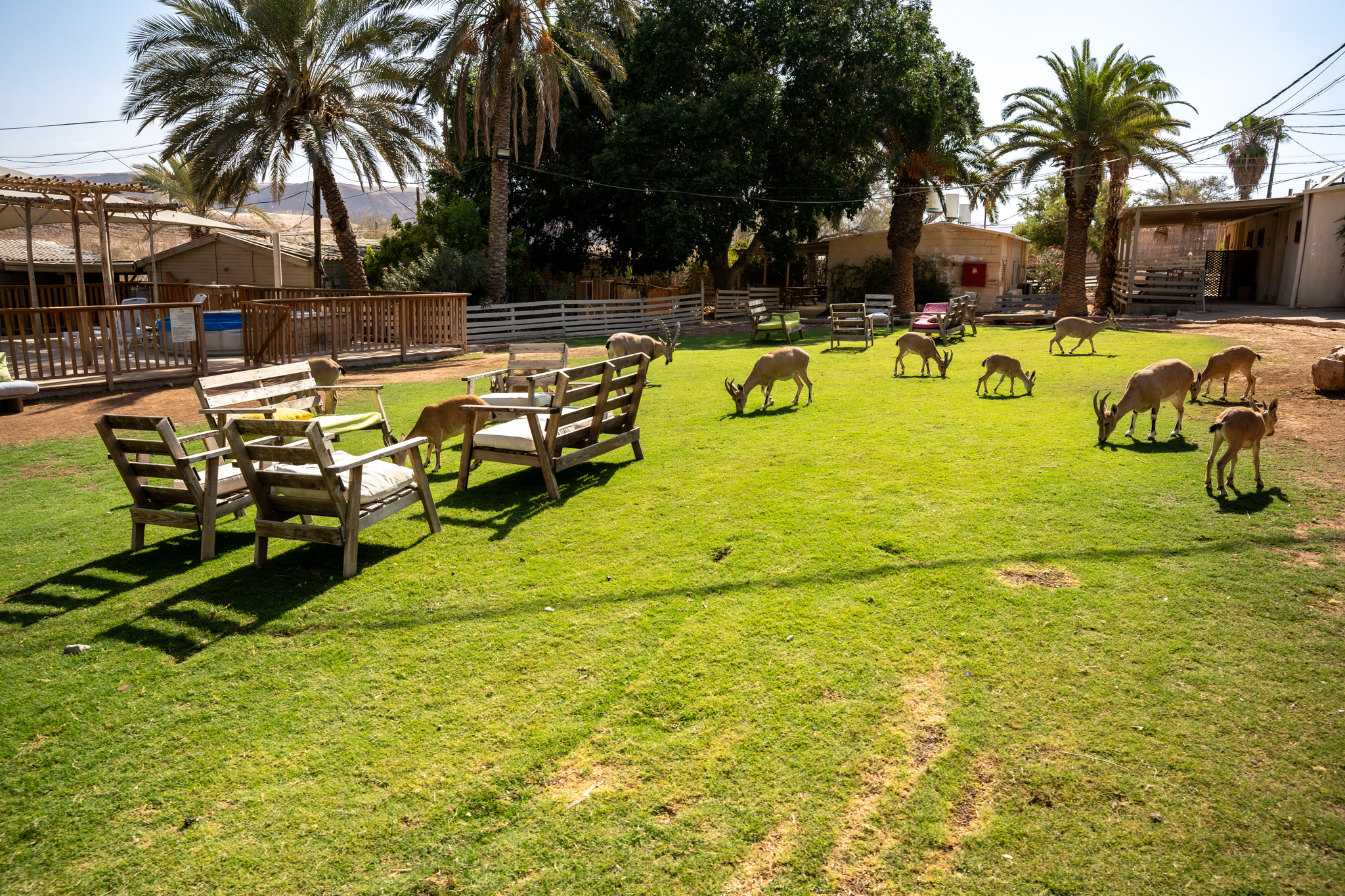 תמונות הכפר-7