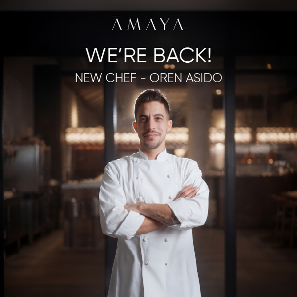 שף חדש באמאיה