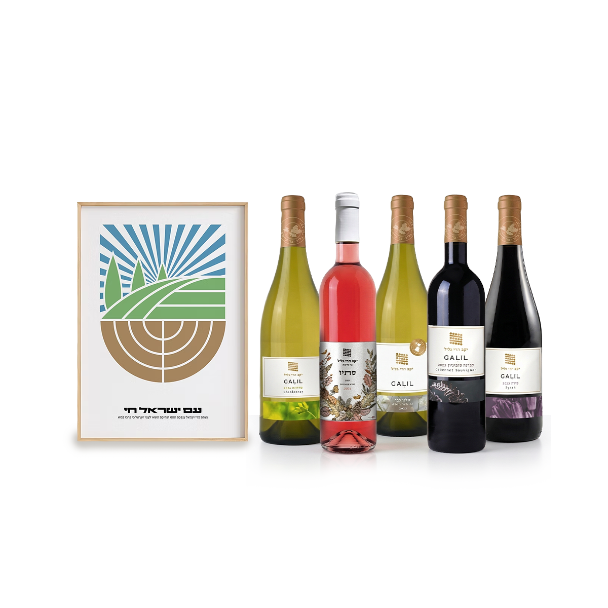 מארז אביבי ישראלי