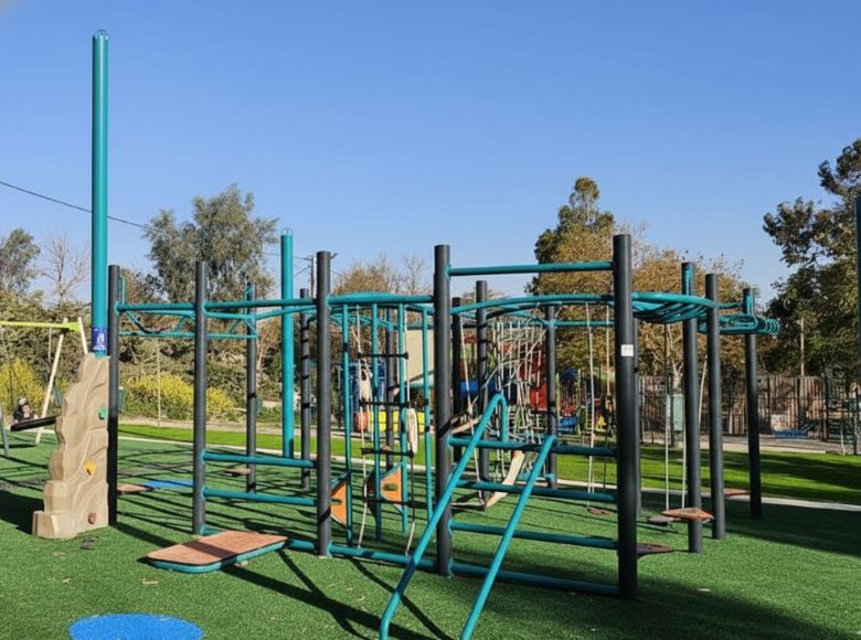 סביונים 3 C