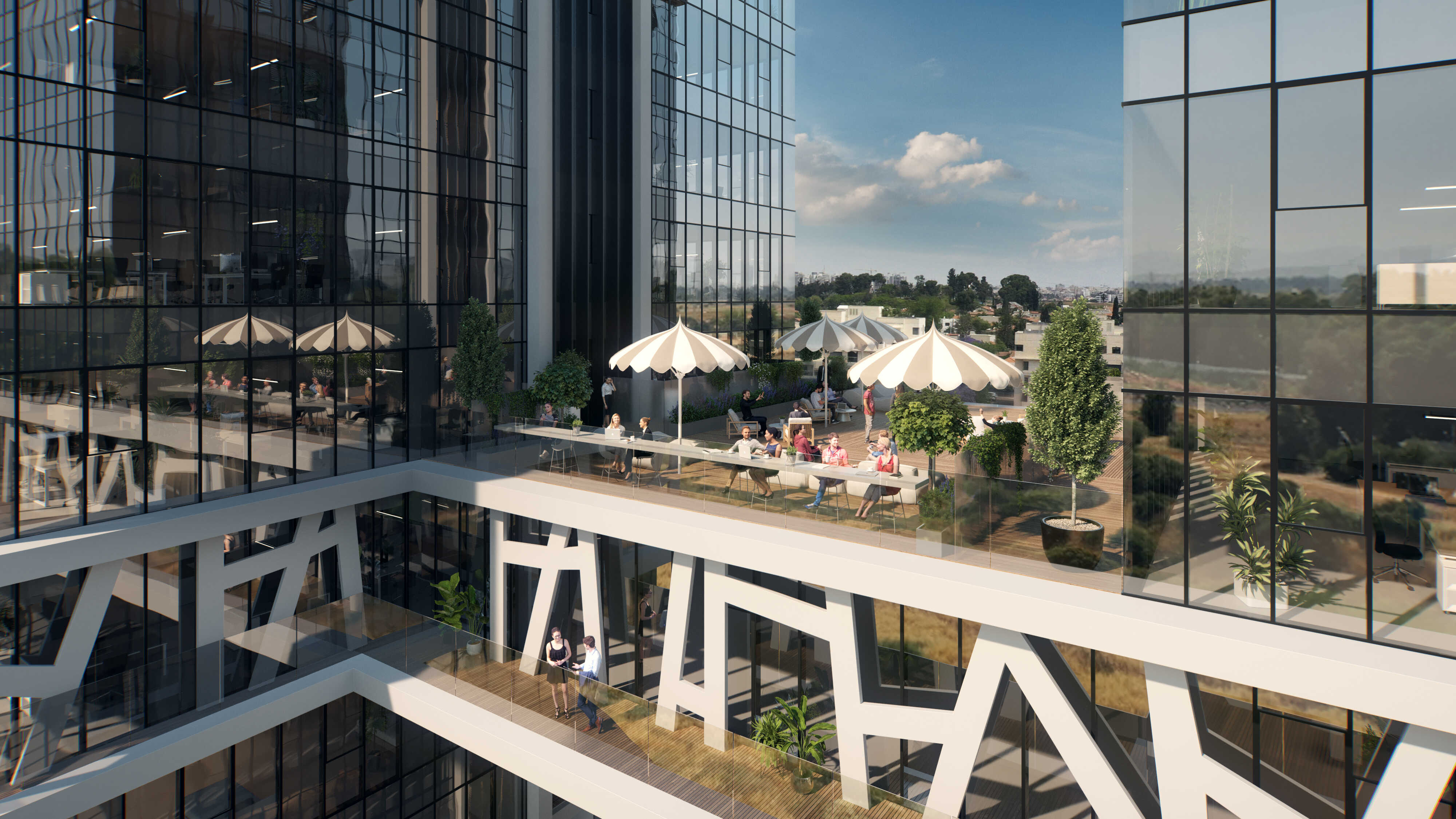 גלרייה לשדה מותאם-7