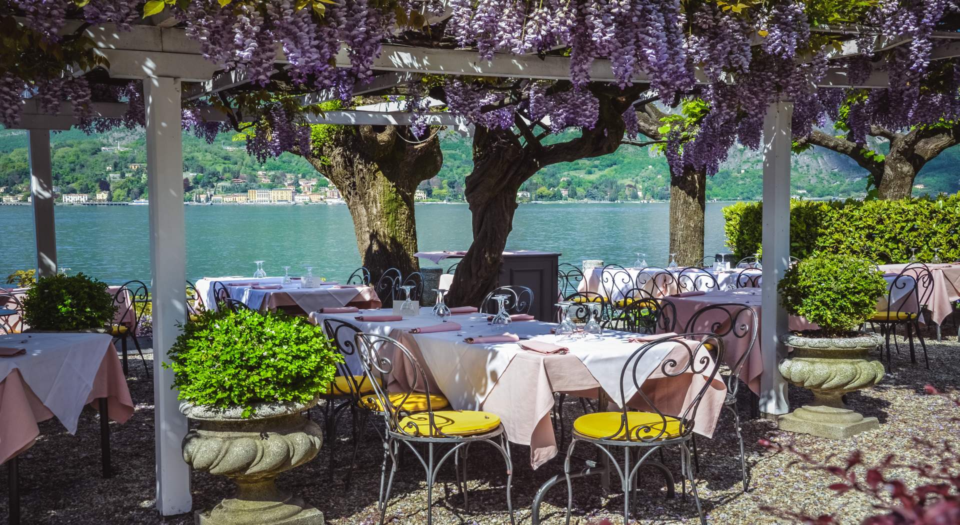 עוצמתו של הריין + גרסת גורדון קומפורט