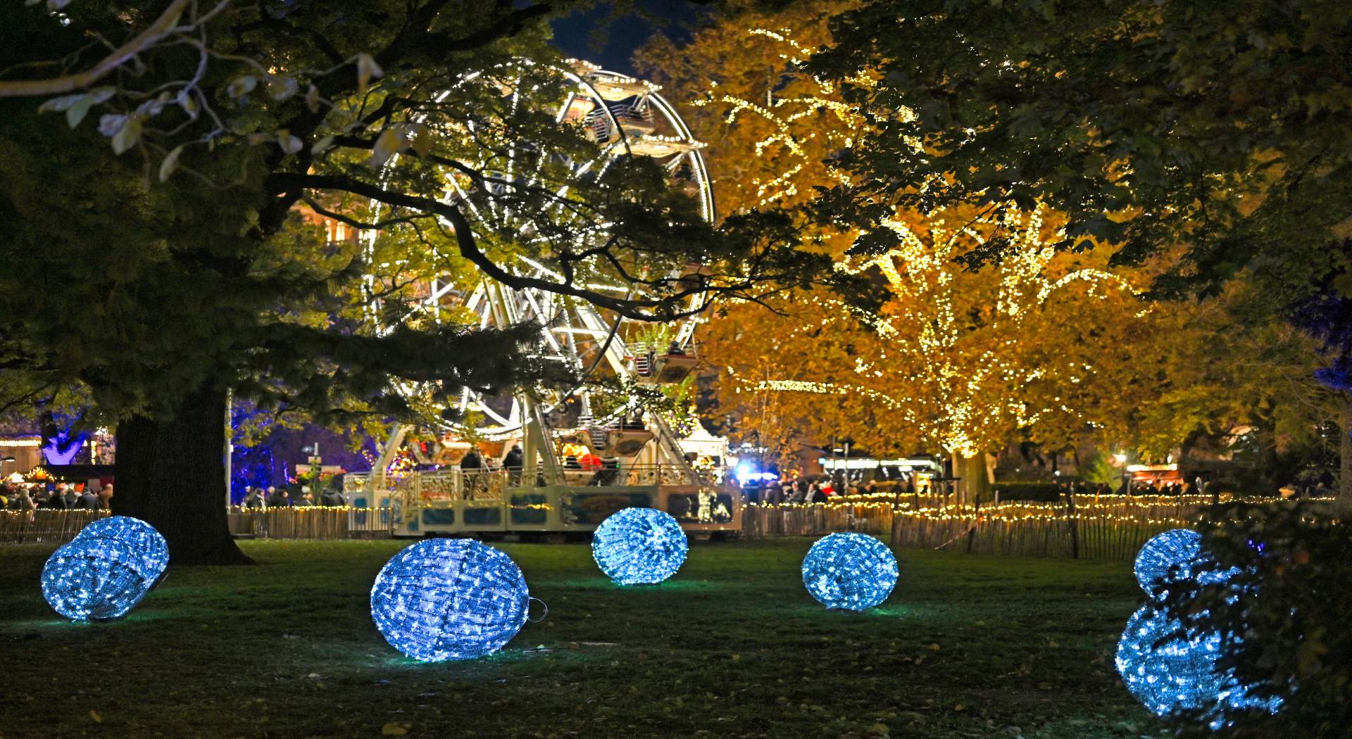 קונצרט חורפי על הדנובה: שיט חגיגי בין בירות המוזיקה והאמנות - מודרך ברוסית