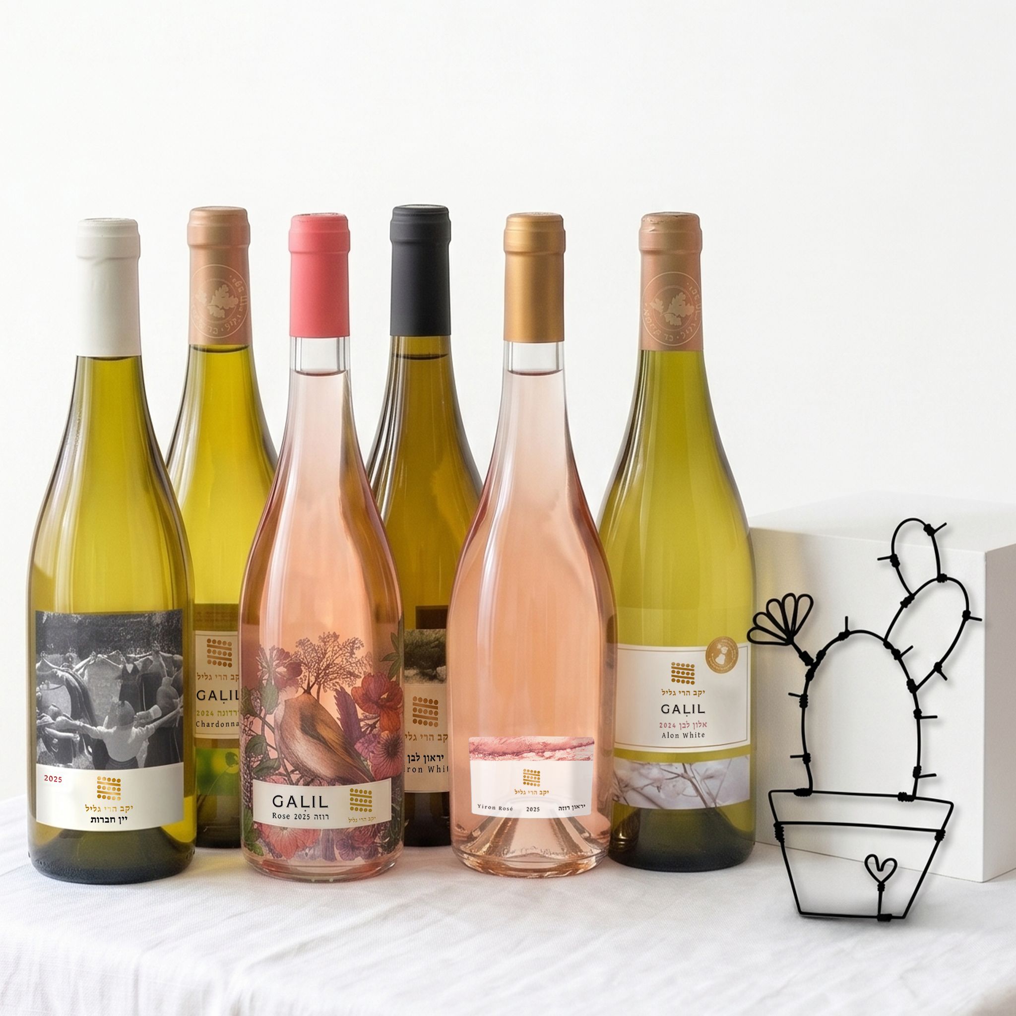 מארז יין ואמנות בחוט ברזל של קובי סיבוני